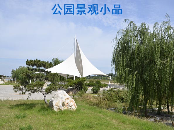 山東景觀(guān)小品膜結構