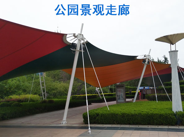 山東景觀(guān)小品膜結構